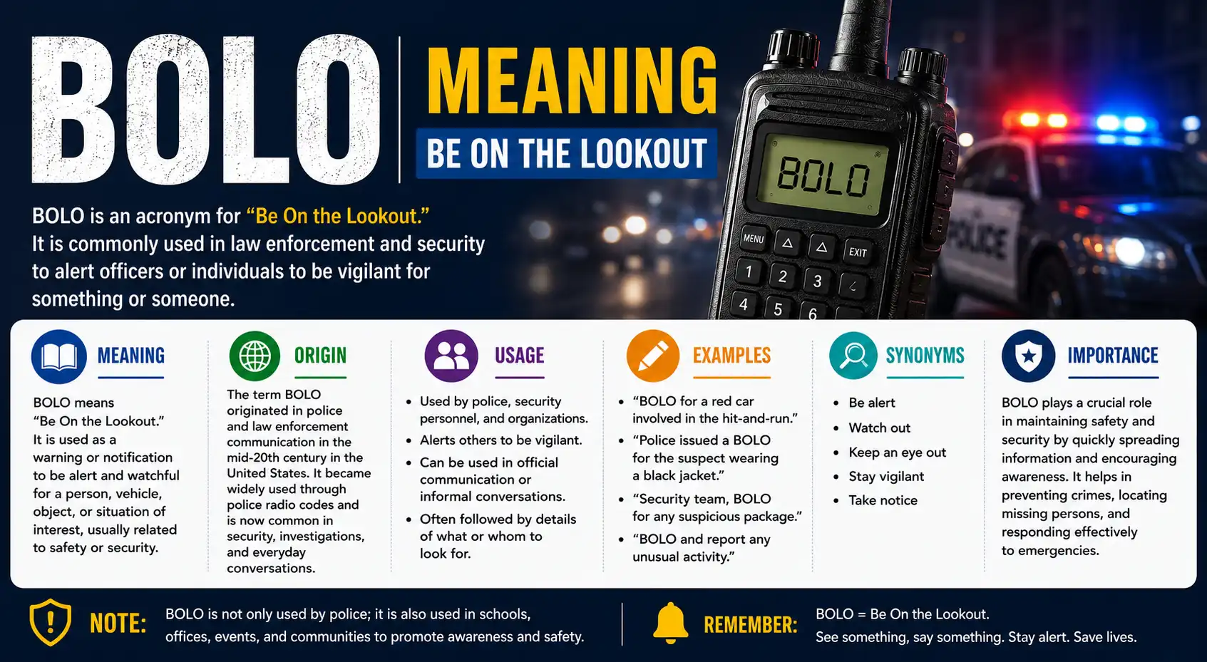 bolo meaning